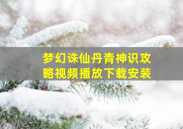 梦幻诛仙丹青神识攻略视频播放下载安装