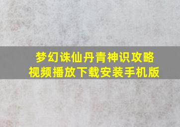 梦幻诛仙丹青神识攻略视频播放下载安装手机版