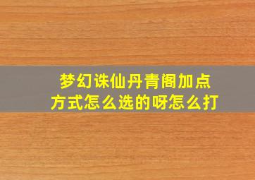 梦幻诛仙丹青阁加点方式怎么选的呀怎么打