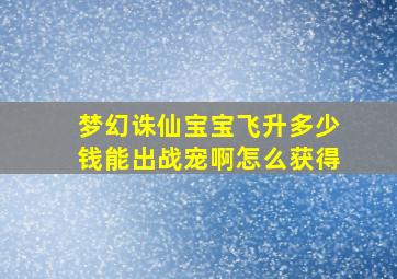 梦幻诛仙宝宝飞升多少钱能出战宠啊怎么获得