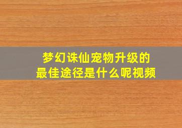 梦幻诛仙宠物升级的最佳途径是什么呢视频