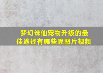 梦幻诛仙宠物升级的最佳途径有哪些呢图片视频