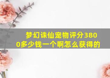 梦幻诛仙宠物评分3800多少钱一个啊怎么获得的