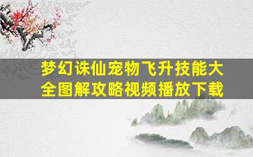 梦幻诛仙宠物飞升技能大全图解攻略视频播放下载