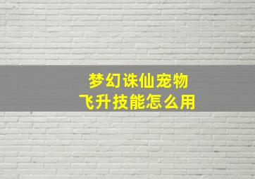 梦幻诛仙宠物飞升技能怎么用