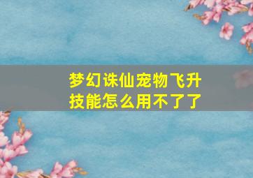 梦幻诛仙宠物飞升技能怎么用不了了