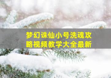 梦幻诛仙小号洗魂攻略视频教学大全最新