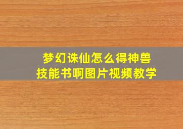 梦幻诛仙怎么得神兽技能书啊图片视频教学