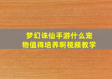 梦幻诛仙手游什么宠物值得培养啊视频教学