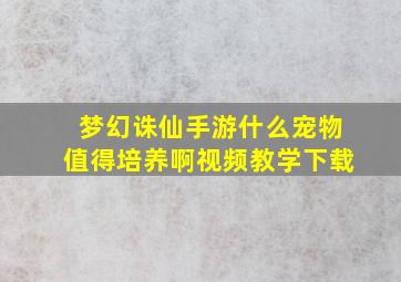 梦幻诛仙手游什么宠物值得培养啊视频教学下载