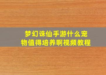 梦幻诛仙手游什么宠物值得培养啊视频教程