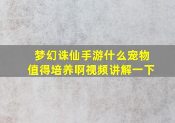 梦幻诛仙手游什么宠物值得培养啊视频讲解一下