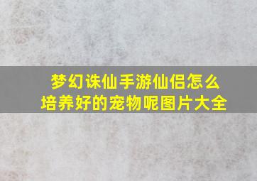 梦幻诛仙手游仙侣怎么培养好的宠物呢图片大全