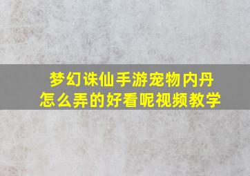 梦幻诛仙手游宠物内丹怎么弄的好看呢视频教学