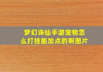 梦幻诛仙手游宠物怎么打技能加点的啊图片