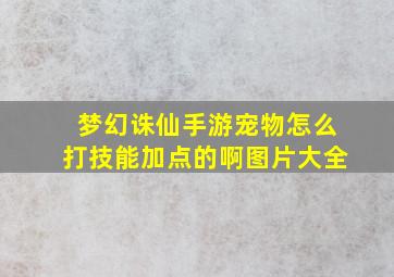 梦幻诛仙手游宠物怎么打技能加点的啊图片大全