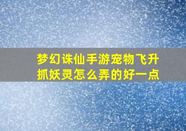 梦幻诛仙手游宠物飞升抓妖灵怎么弄的好一点