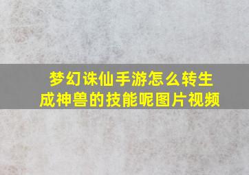 梦幻诛仙手游怎么转生成神兽的技能呢图片视频