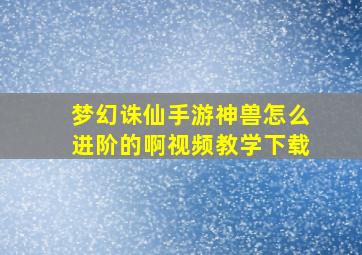 梦幻诛仙手游神兽怎么进阶的啊视频教学下载