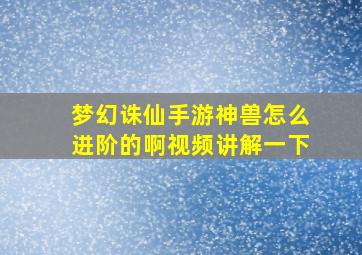 梦幻诛仙手游神兽怎么进阶的啊视频讲解一下