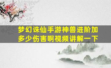 梦幻诛仙手游神兽进阶加多少伤害啊视频讲解一下