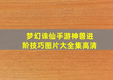 梦幻诛仙手游神兽进阶技巧图片大全集高清