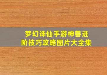 梦幻诛仙手游神兽进阶技巧攻略图片大全集