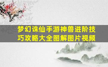 梦幻诛仙手游神兽进阶技巧攻略大全图解图片视频