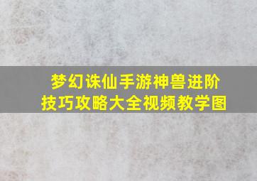 梦幻诛仙手游神兽进阶技巧攻略大全视频教学图