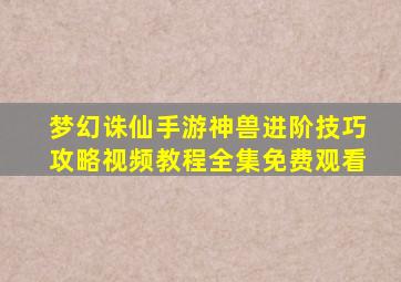 梦幻诛仙手游神兽进阶技巧攻略视频教程全集免费观看