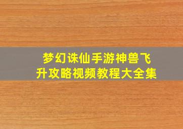 梦幻诛仙手游神兽飞升攻略视频教程大全集