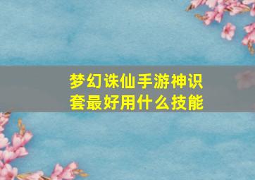 梦幻诛仙手游神识套最好用什么技能