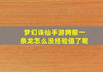 梦幻诛仙手游跨服一条龙怎么没经验值了呢