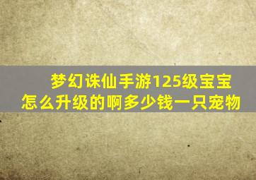 梦幻诛仙手游125级宝宝怎么升级的啊多少钱一只宠物