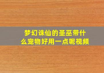 梦幻诛仙的圣巫带什么宠物好用一点呢视频