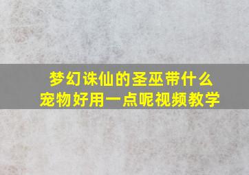 梦幻诛仙的圣巫带什么宠物好用一点呢视频教学