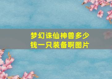 梦幻诛仙神兽多少钱一只装备啊图片