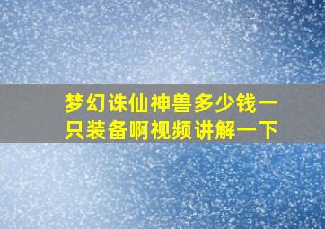 梦幻诛仙神兽多少钱一只装备啊视频讲解一下