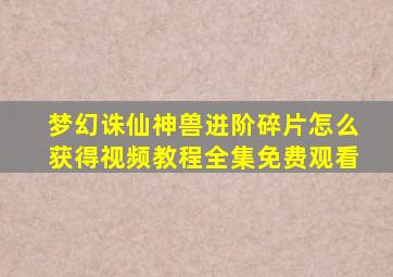 梦幻诛仙神兽进阶碎片怎么获得视频教程全集免费观看