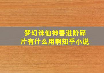 梦幻诛仙神兽进阶碎片有什么用啊知乎小说