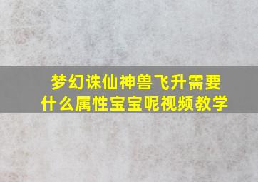 梦幻诛仙神兽飞升需要什么属性宝宝呢视频教学