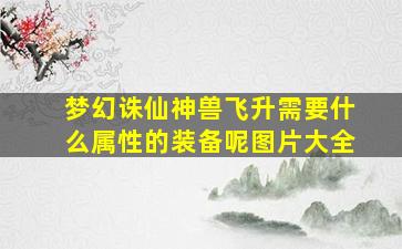 梦幻诛仙神兽飞升需要什么属性的装备呢图片大全