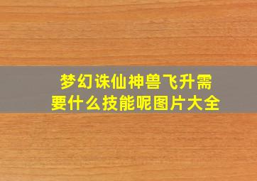 梦幻诛仙神兽飞升需要什么技能呢图片大全