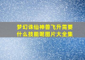 梦幻诛仙神兽飞升需要什么技能呢图片大全集