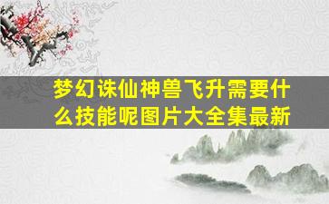 梦幻诛仙神兽飞升需要什么技能呢图片大全集最新