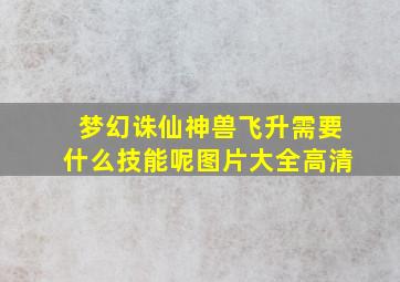 梦幻诛仙神兽飞升需要什么技能呢图片大全高清