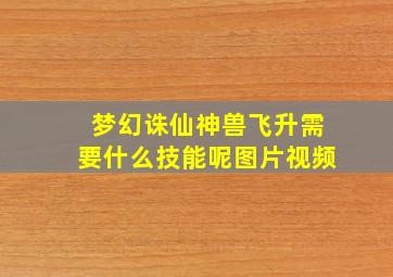 梦幻诛仙神兽飞升需要什么技能呢图片视频