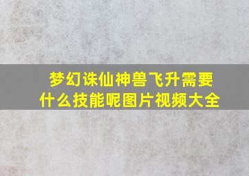 梦幻诛仙神兽飞升需要什么技能呢图片视频大全