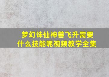 梦幻诛仙神兽飞升需要什么技能呢视频教学全集