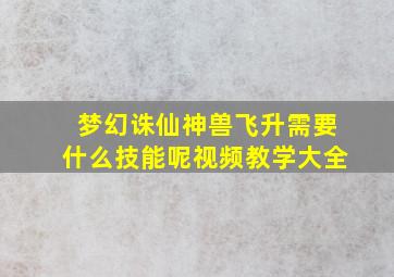 梦幻诛仙神兽飞升需要什么技能呢视频教学大全